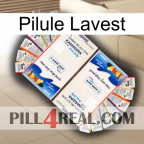Lavest Pill kamagra1